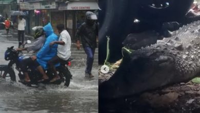 Photo of मुंबई और आस-पास के इलाकों में भारी बारिश का अलर्ट, यातायात ठप